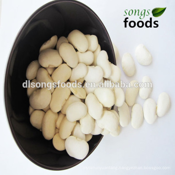 Price of White Beans, Round White Bean